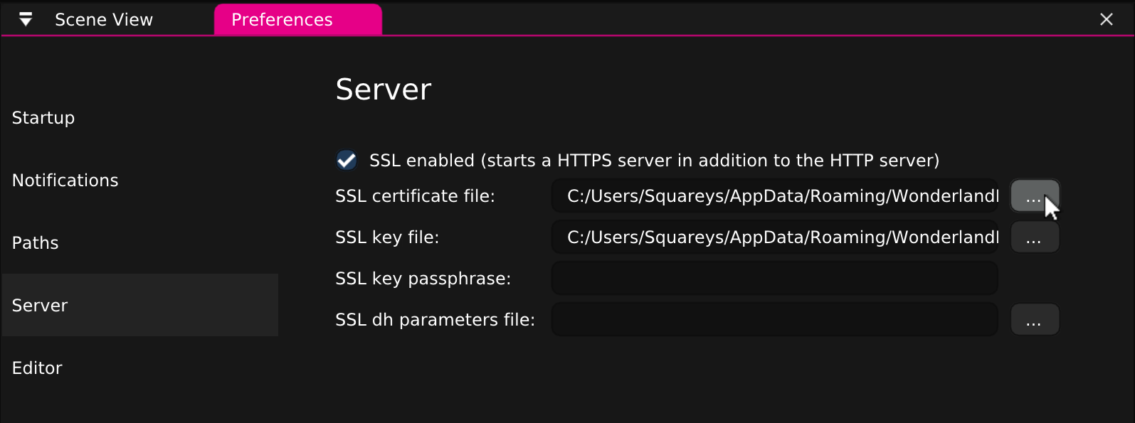 Screenshot: Getting Started AR - Set SSL certificates in Wonderland Editor